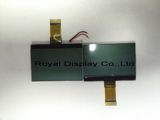 RYG160100B Graphic LCD Module FSTN Positive Black On White 160*100 Dots
