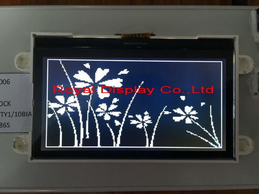 192X64 Resolution Positive Transflective Custom LCD Display in Stock
