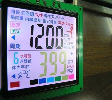 FSC LCD Module Customizable 12H Negative Black Transmissive Field Sequential Color Winstar